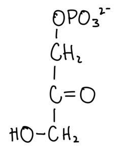 How to Maximize Your Use of this Course MCAT Self Prep