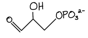 Glycolysis Part I: The Investment Phase 7 Glycolysis Part I: The Investment Phase MCAT Self Prep